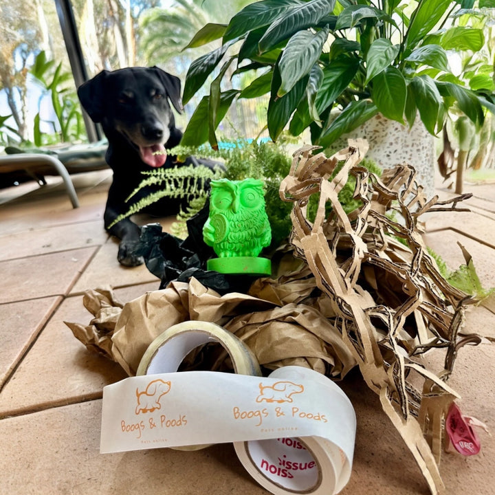 Planet-Conscious Dog Toys