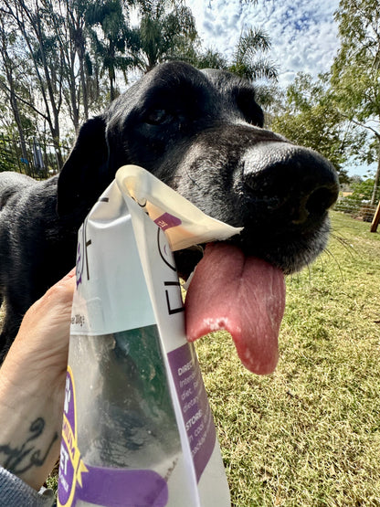 The Snack and Play Pack- Blue