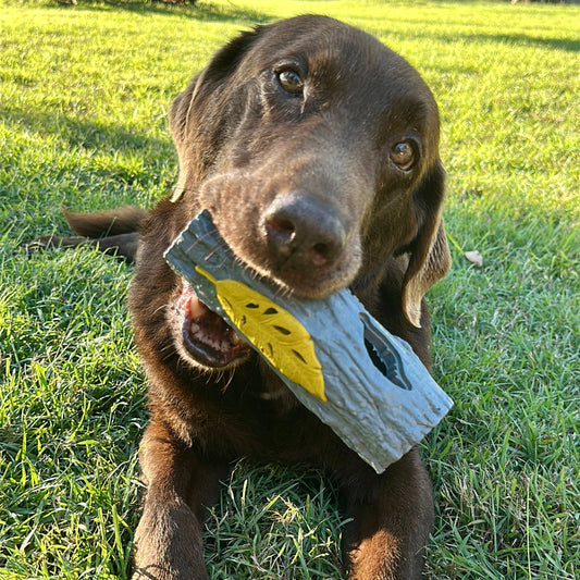 Dog laying on the grass happily  chewing on a great rubber fetch stick dog toy.