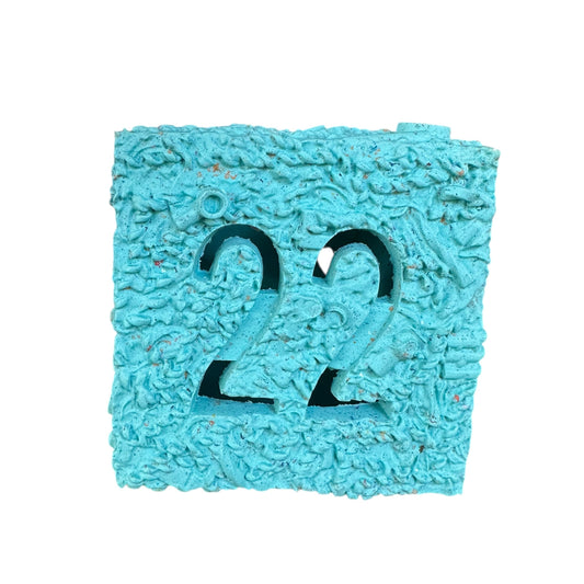 Blue rubber chew toy with the number twenty-two carved out.